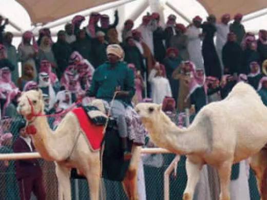 الصفرا غلا